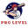 Pro Level BaseBall logo